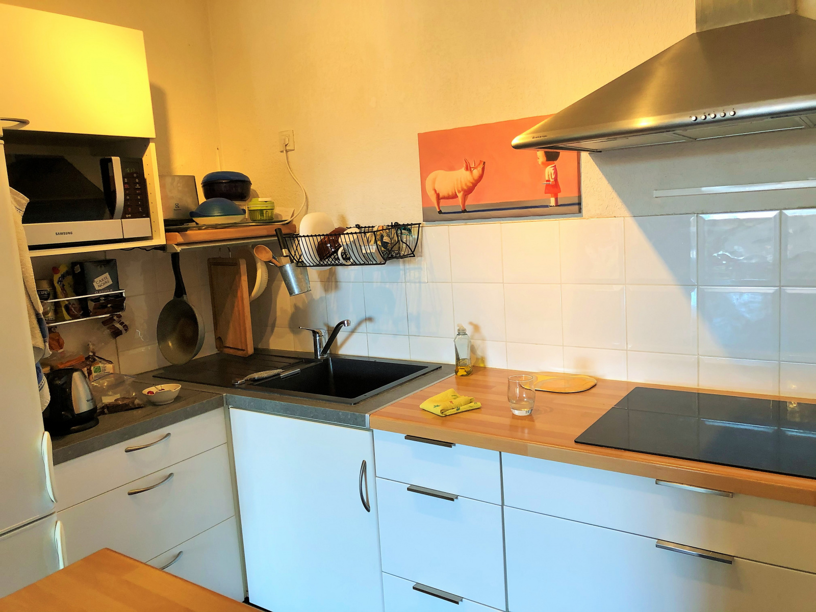 Image_, Appartement, Toulouse, ref :503